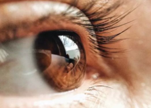 1662602587543844.png 1-1P20P93420Y5.png